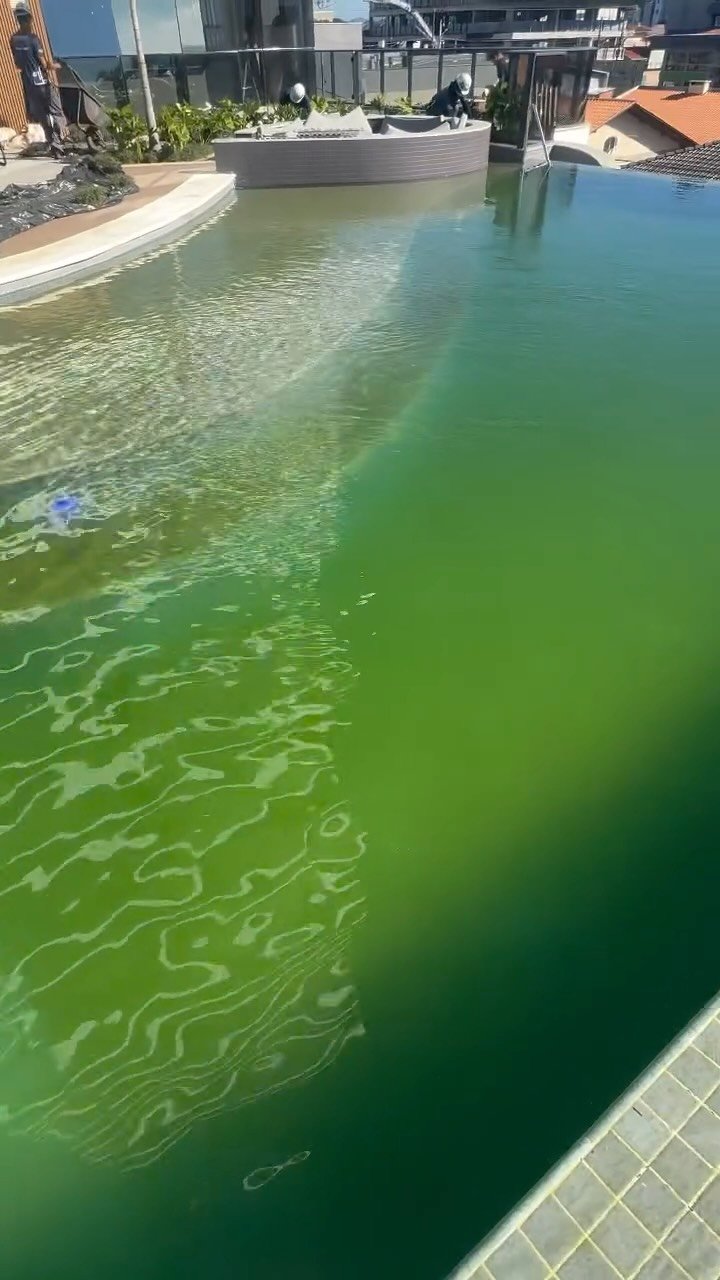 Piscina com água esverdeada durante o processo de limpeza e tratamento (foto Giba Pool)
